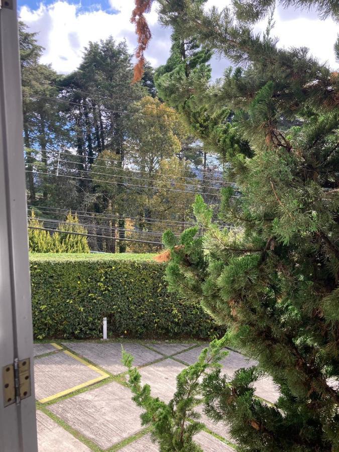 Deluxe Double Room Ground Floor,1722928759:JPEG