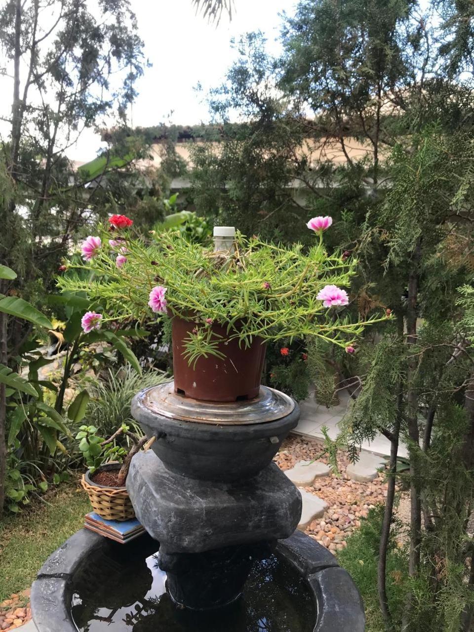 Suíte com Vista do Jardim