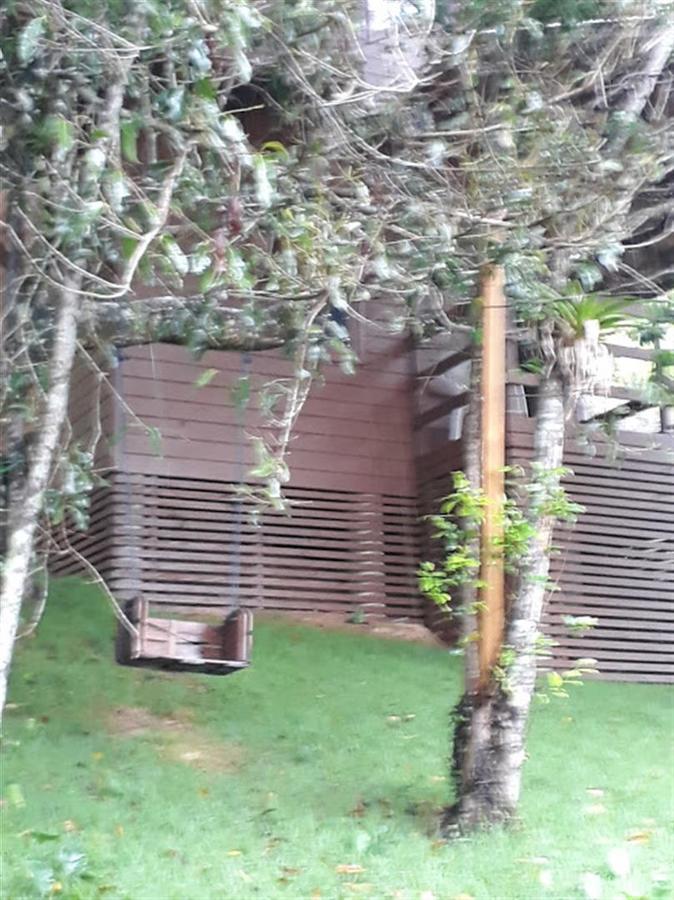 One-Bedroom Bungalow,538829535:JPEG