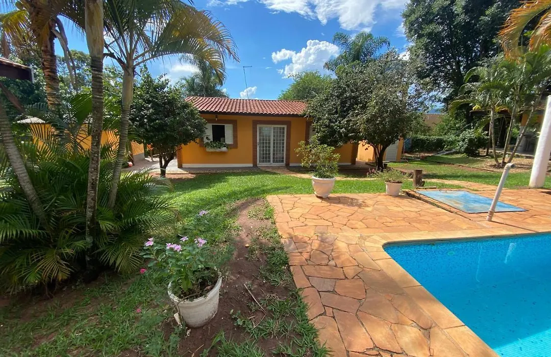 Família Busca-pé-1