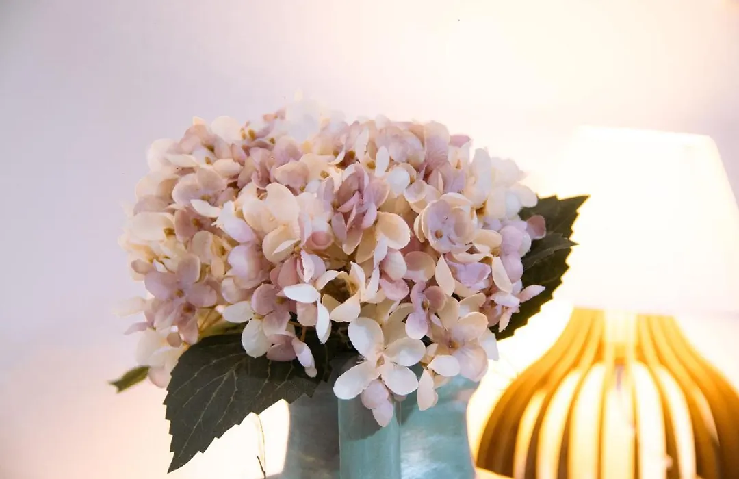 Pouso Primavera-1