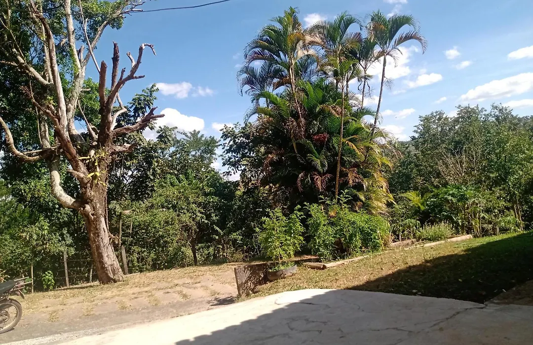 Campo dos Sonhos-1