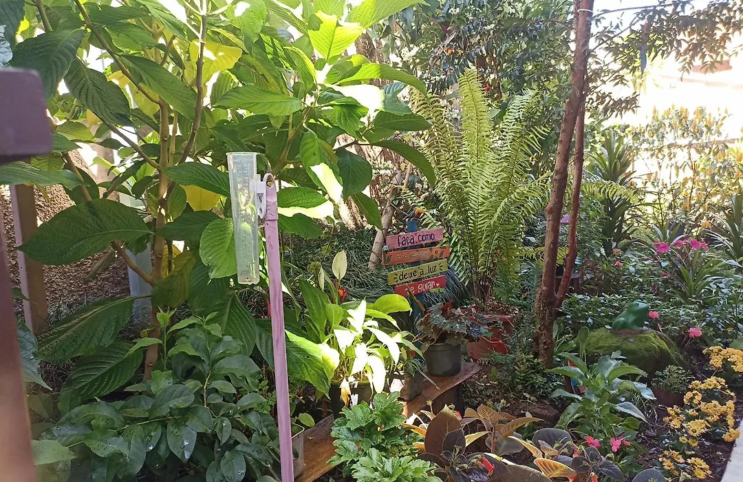 Suites Pico do Cristal-1
