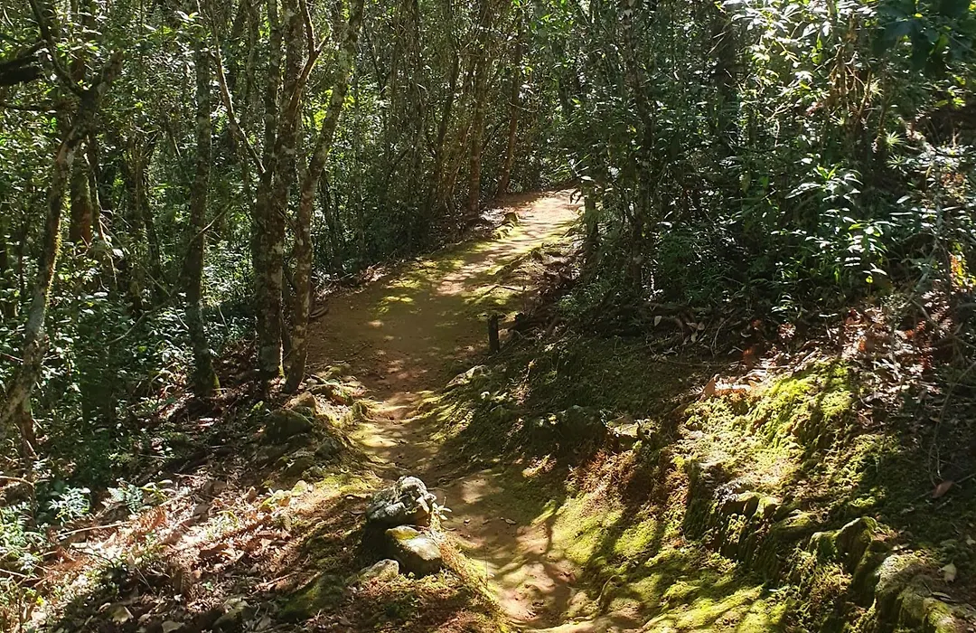 Cachoeira dos Luis - Parque&Pousada-1