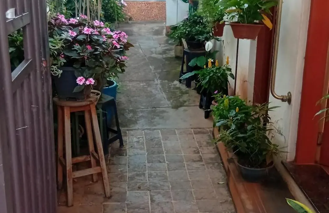 3 Quartos Sobrado Vintage-1
