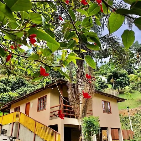 Sitio dos Palmitos - Casa Pupunha-3