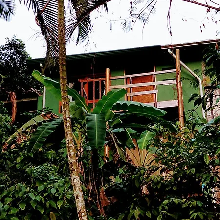 Waldhaus - A Pousada do Remo-3