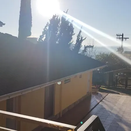 La Vita Mia-2