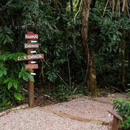 Cantos da Mata-3