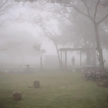 Bosque Da Neblina-3