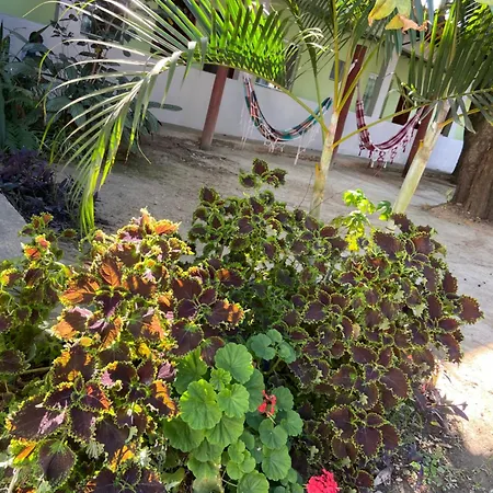 Pousada Tropical-2