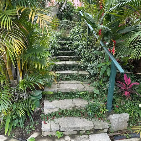 Villa Violeta-2