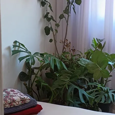 Oasis Interior-2