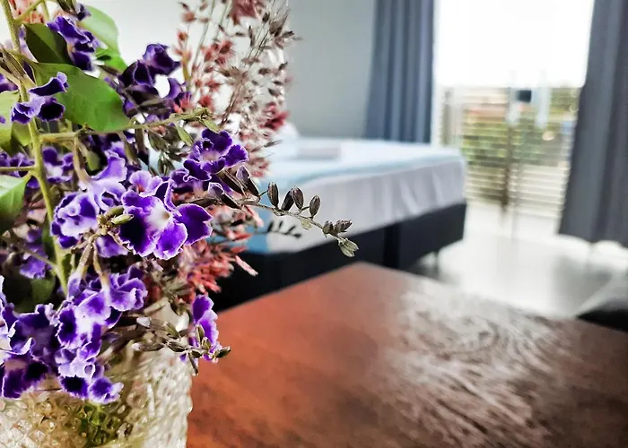 Pousada Suítes do Rosa Praia do Rosa