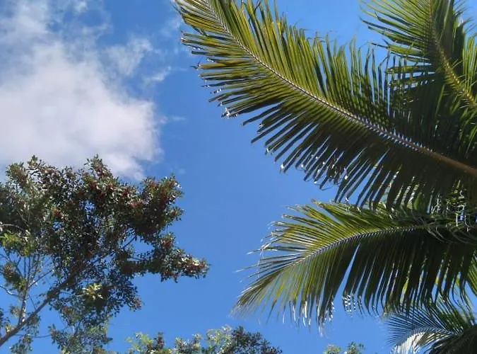 Hospedaria D'Maria Salvador