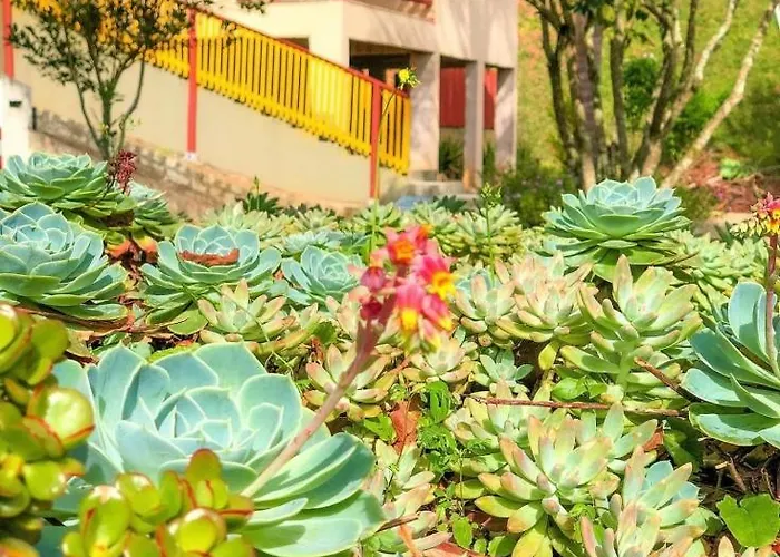 Sitio Dos Palmitos - Casa Pupunha Hotel Pedra Azul 