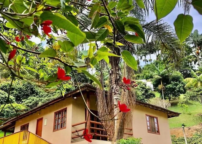 Sitio Dos Palmitos - Casa Pupunha Hotel Pedra Azul 