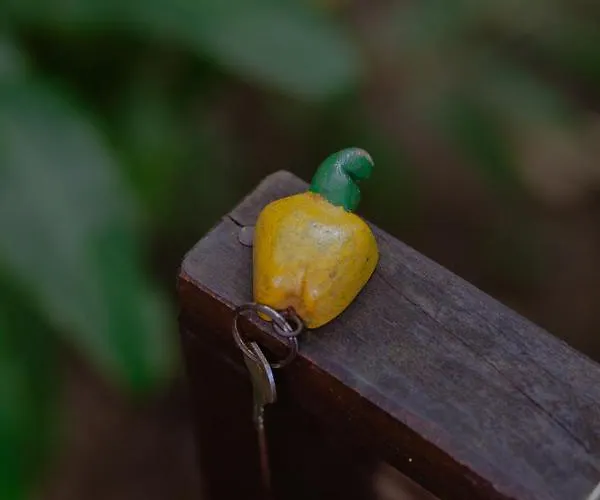 Quinta Do Caju Hotel Velha Boipeba