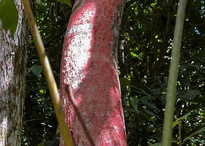 Pousada Vale Das Águias Jaguaruna